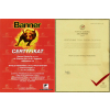 AKUMULATOR BANNER 63AH 620A